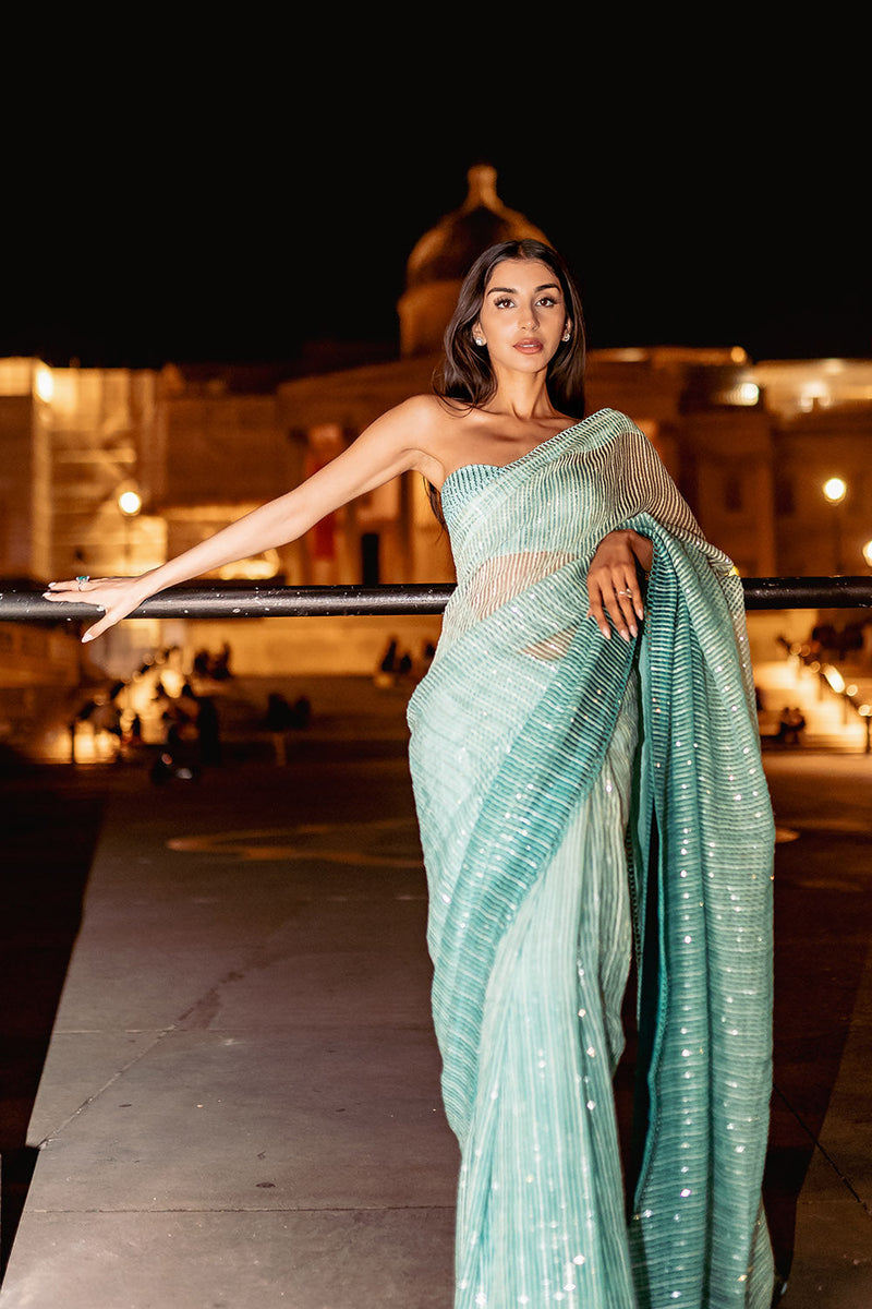 Sage green handloon organza saree