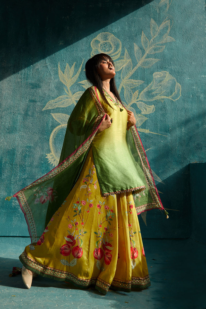 Yellow printed sharara set with embroidery detailing effortless easyflowing sharara and printed organza dupatta