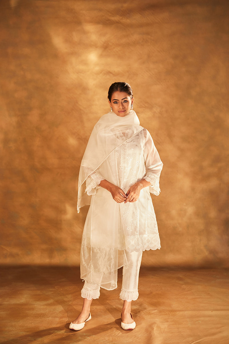 Organza Kurta with Slip & Silk Pants