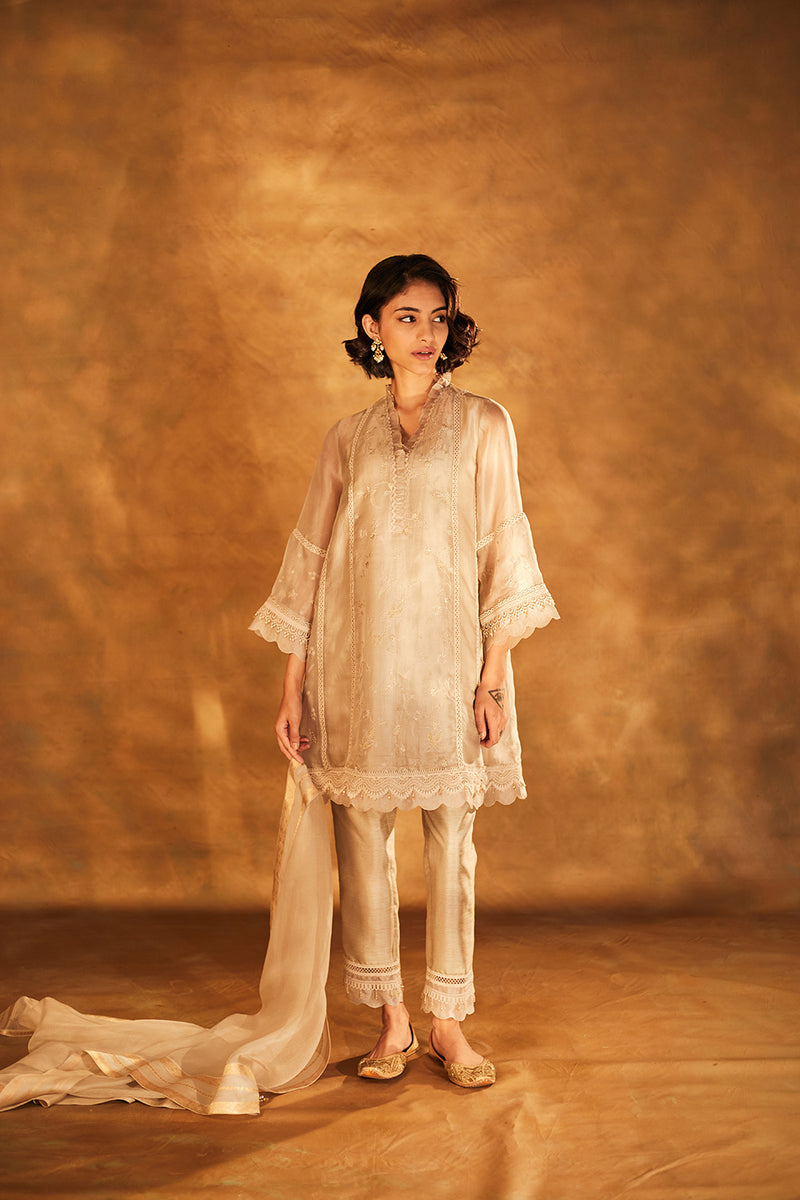 Organza Kurta with Slip & Silk Pants