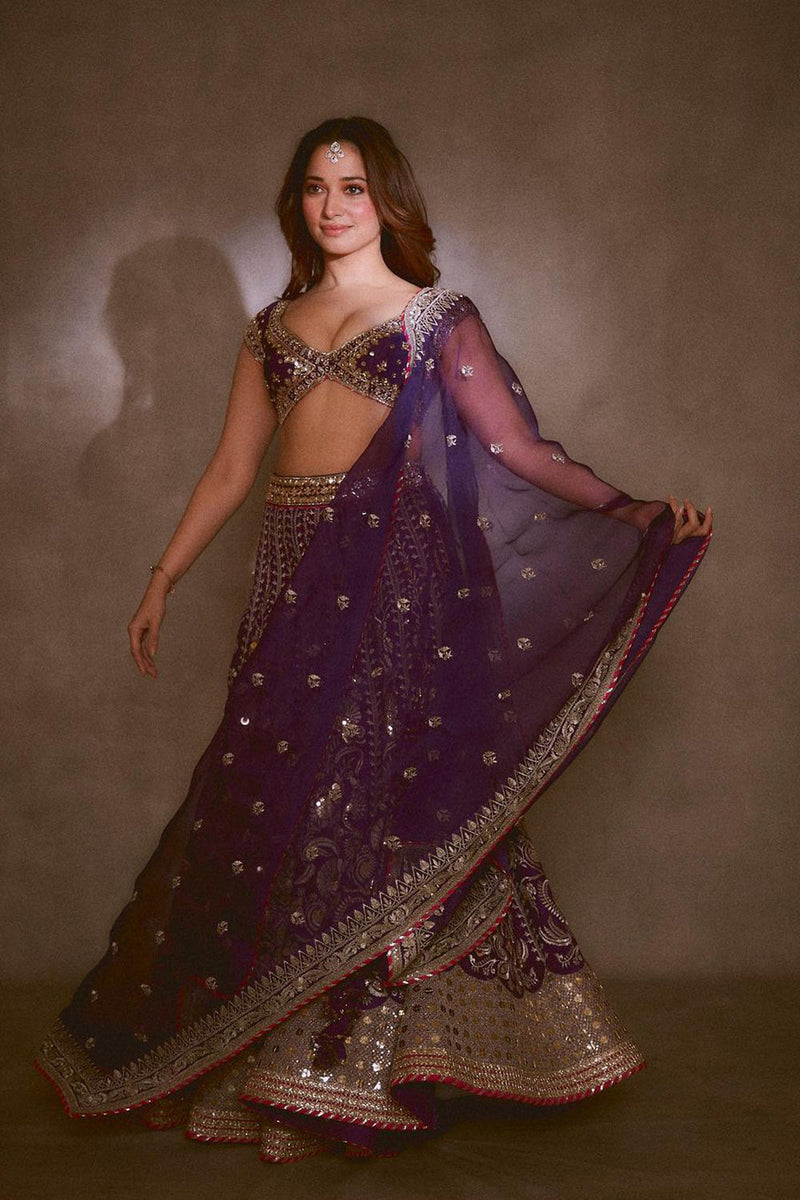 Tamanha  Bhatia In Golconda Sacchi Lehenga Set