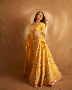 Golconda Anha Lehenga Set