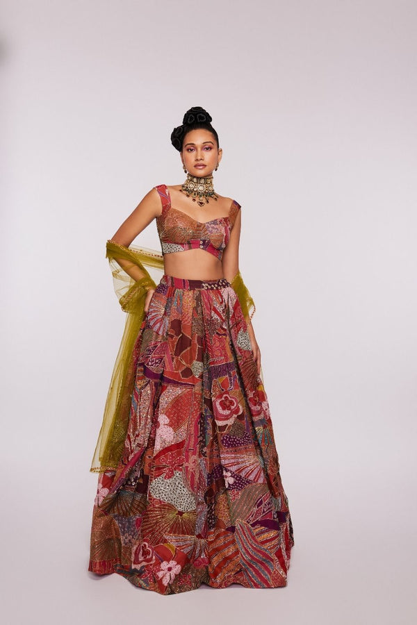 Pink Divergence   printed and embellished indian organza Top and Skirt with net floral dupatta