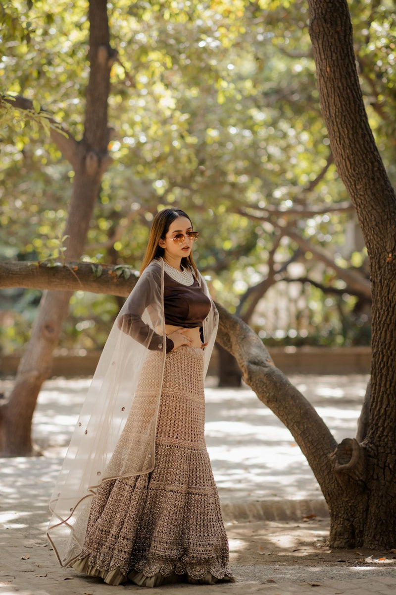 Brown Mesh Skirt