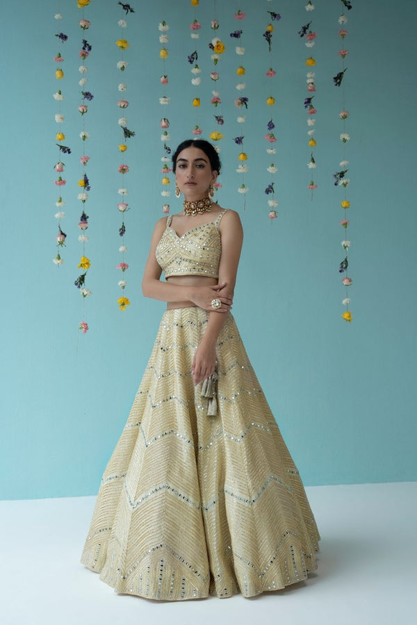 Yellow Organza Lehenga Set