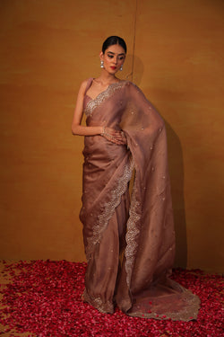 Brown organza saree