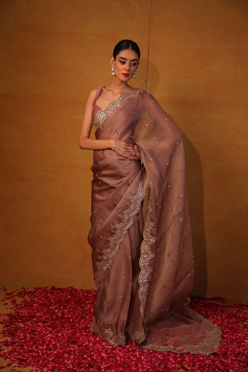 Brown organza saree