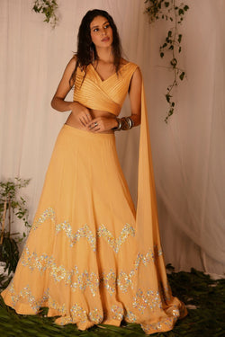 Corded Blouse with attached Dupatta and Hand-embroidered Lehenga