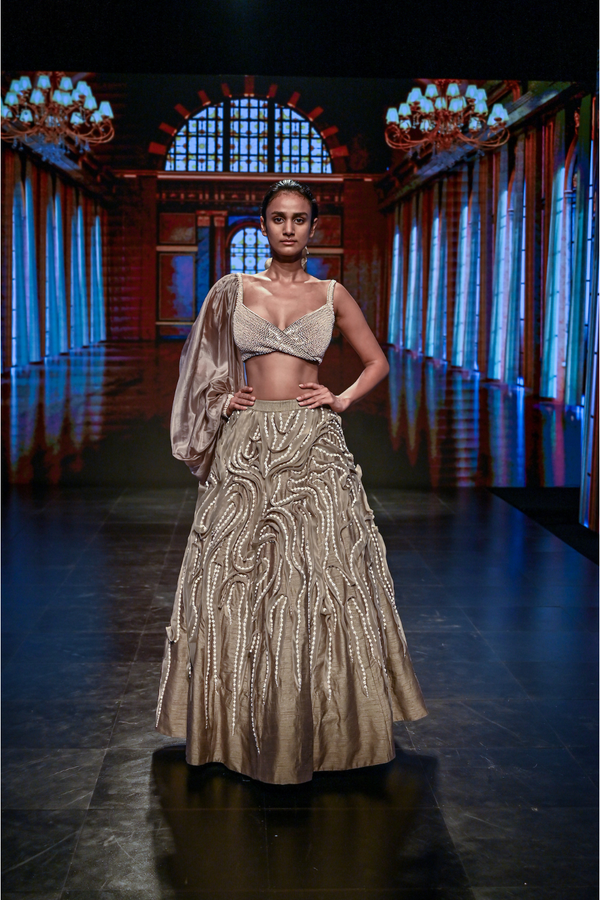 chickoo lehenga with one side sleeve blouse