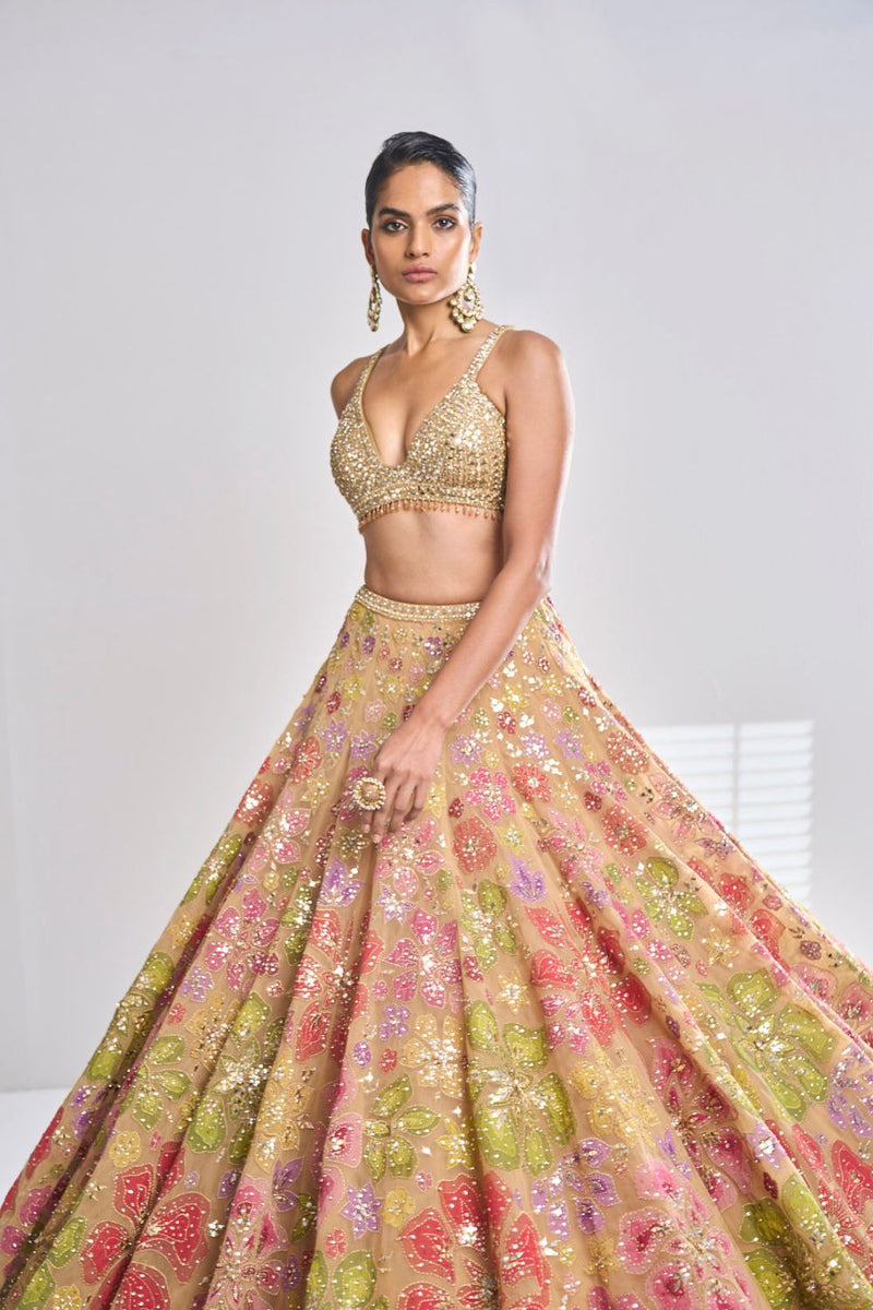 Multi-Coloured Gold Lehenga Set