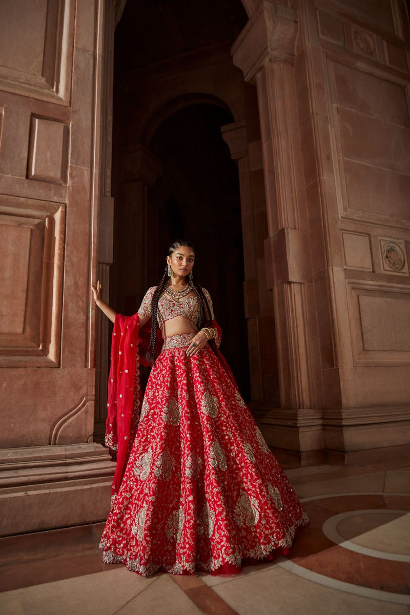 Nemali Lata Lehenga