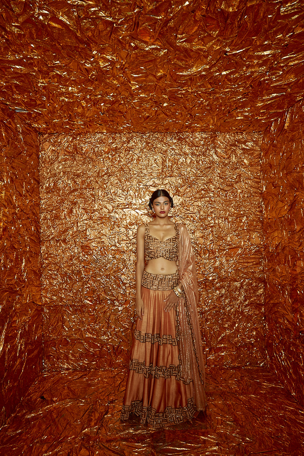 Tan Poth Hand-Embroidered Blouse with Lehenga and Dupatta