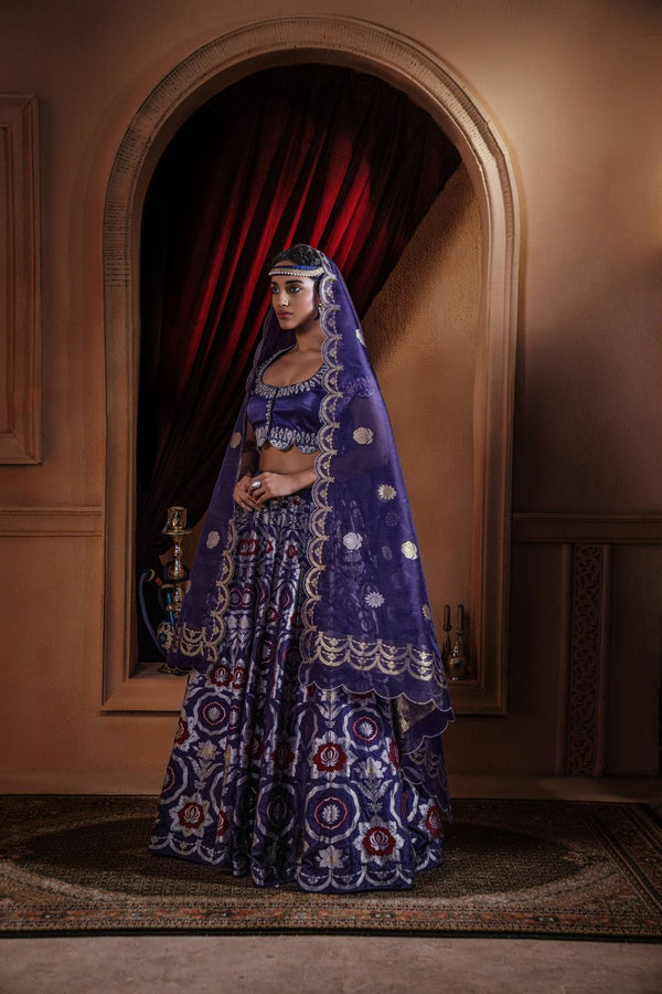 Rosettes Khinkhwab Ink Blue Banarasi Handwoven Lehenga