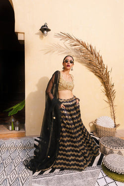 Benarasi Silk and gold Lehenga Set