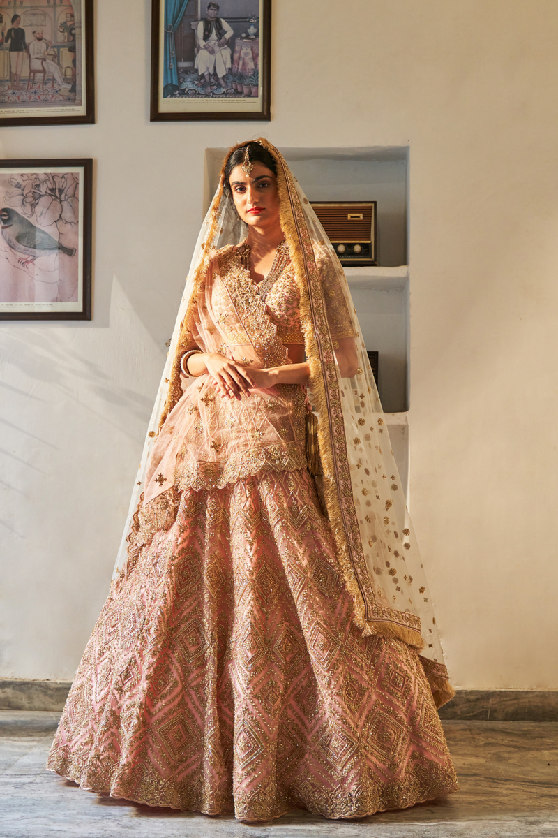 Blush Pink Tulle Lehenga Set