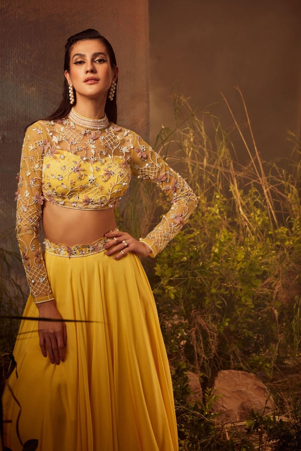 APHRODITE Embroidered blouse with embroidered dupatta lehenga set