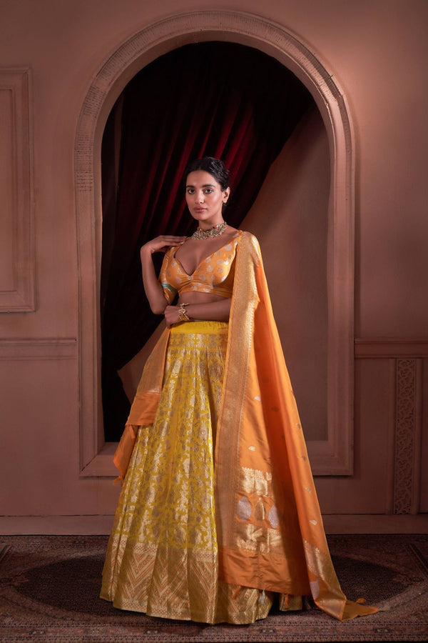 Khinkhwab Pushpanjali Banarasi Handwoven Lehenga