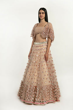 Blush Pink Embellished Lehenga Set