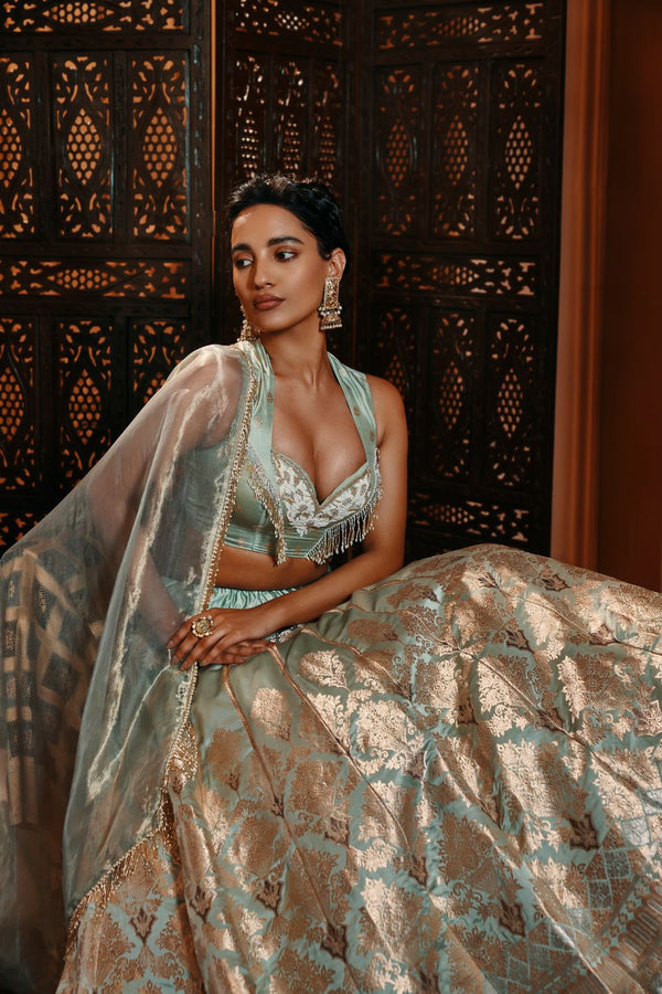 Naaz Banarasi Handwoven Jade Lehenga