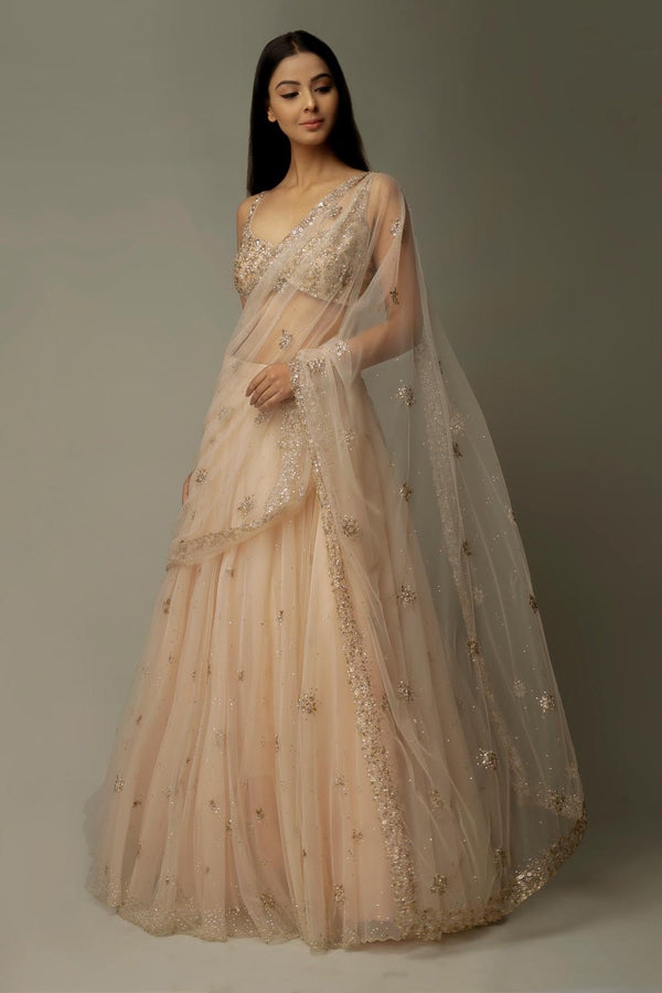 Hebe lehenga saree