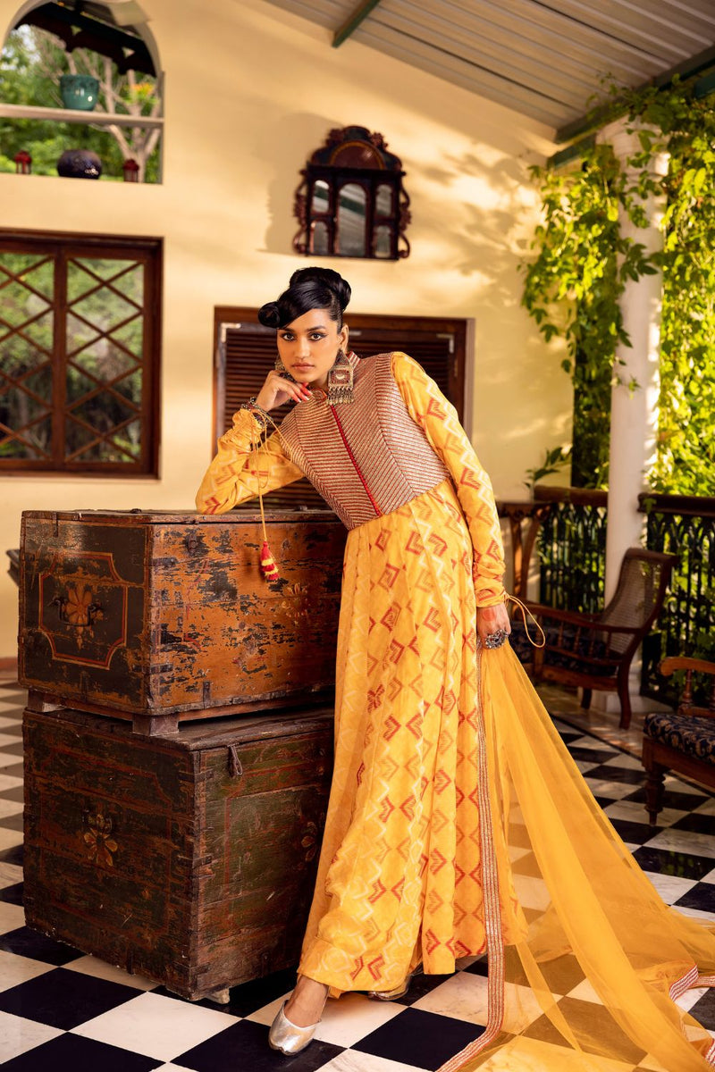 Yellow Printed  & Embroidered Anarkali set
