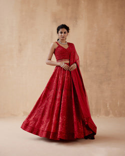 Red Organza Lehenga Set