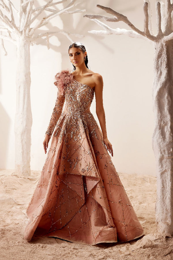 Pink Gilded Gown