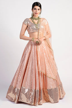 Blush Lehenga Set