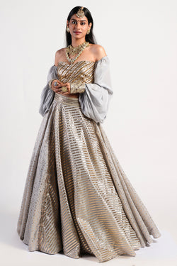 Silver Grey Lehenga Set