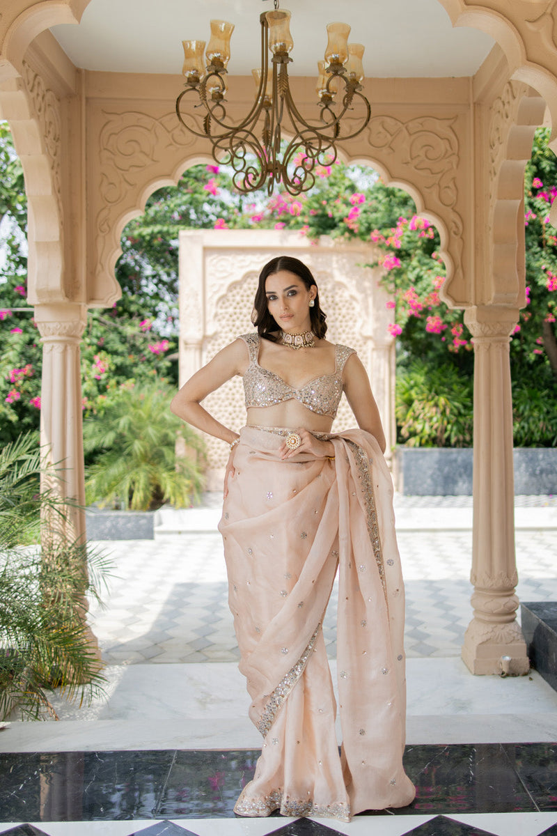 Blush Pink Saree