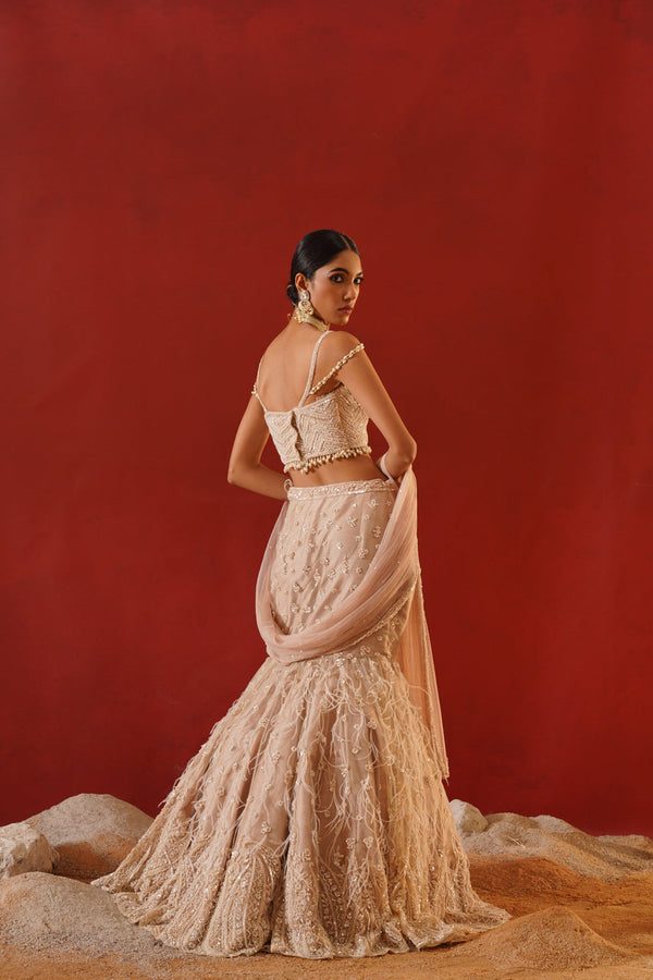 Beige Net Lehenga Choli Set