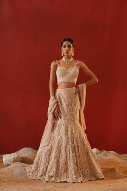 Beige Net Lehenga Choli Set