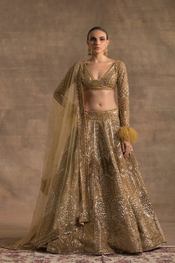 Gold Sequins Embroidered Lehenga Set