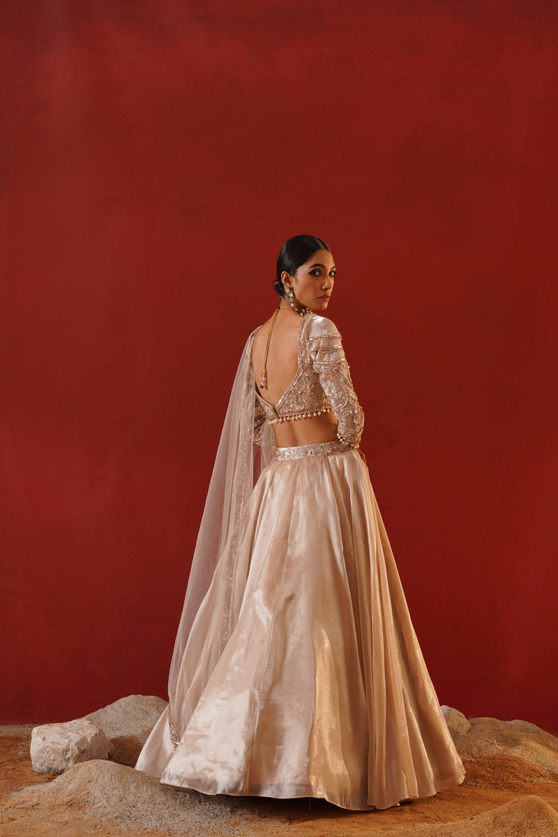 Beige Tisue Organza Lehenga Choli Set