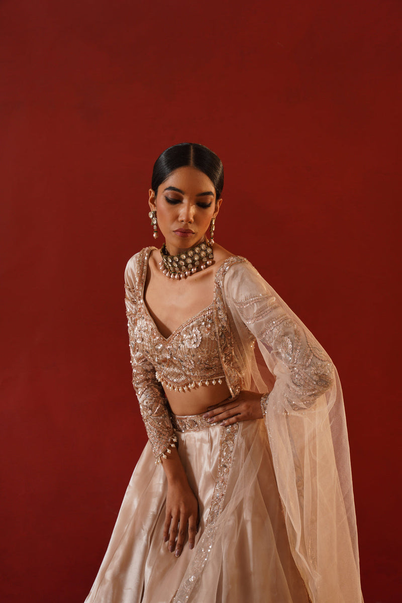 Beige Tisue Organza Lehenga Choli Set