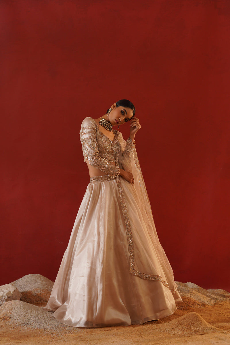 Beige Tisue Organza Lehenga Choli Set