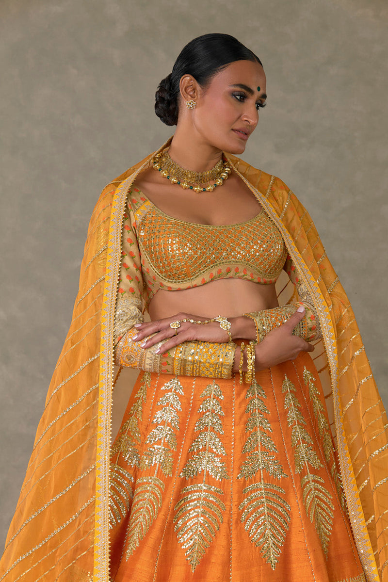 Rust 'Paan-Patti' Lehenga Set