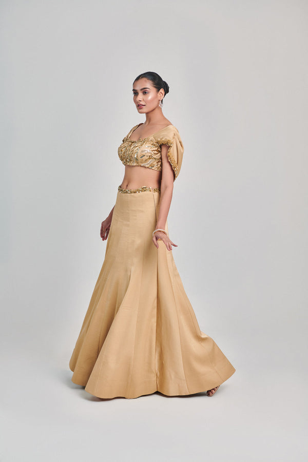 Golden Cowl Sleeves; Cutwork Blouse Kalidar Skirt Set