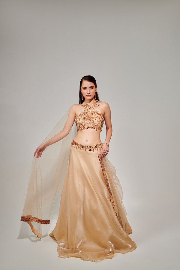 Ivory Cut Work Halter Neck Blouse And Lehenga Set