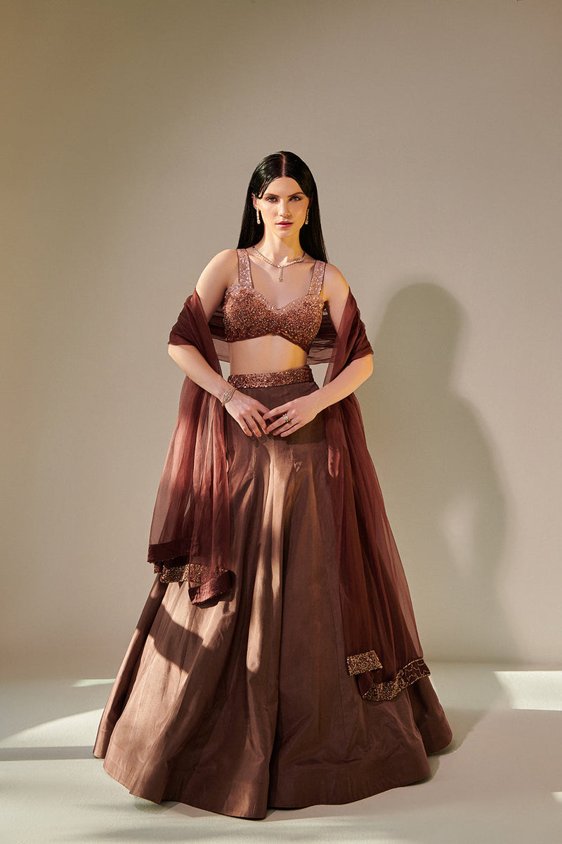 Earthy Brown Ombre Shaded Lehenga Set