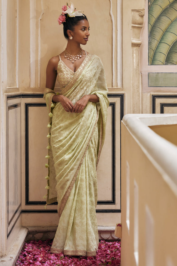 Mint Gold Print Saree With Embroidered Blouse