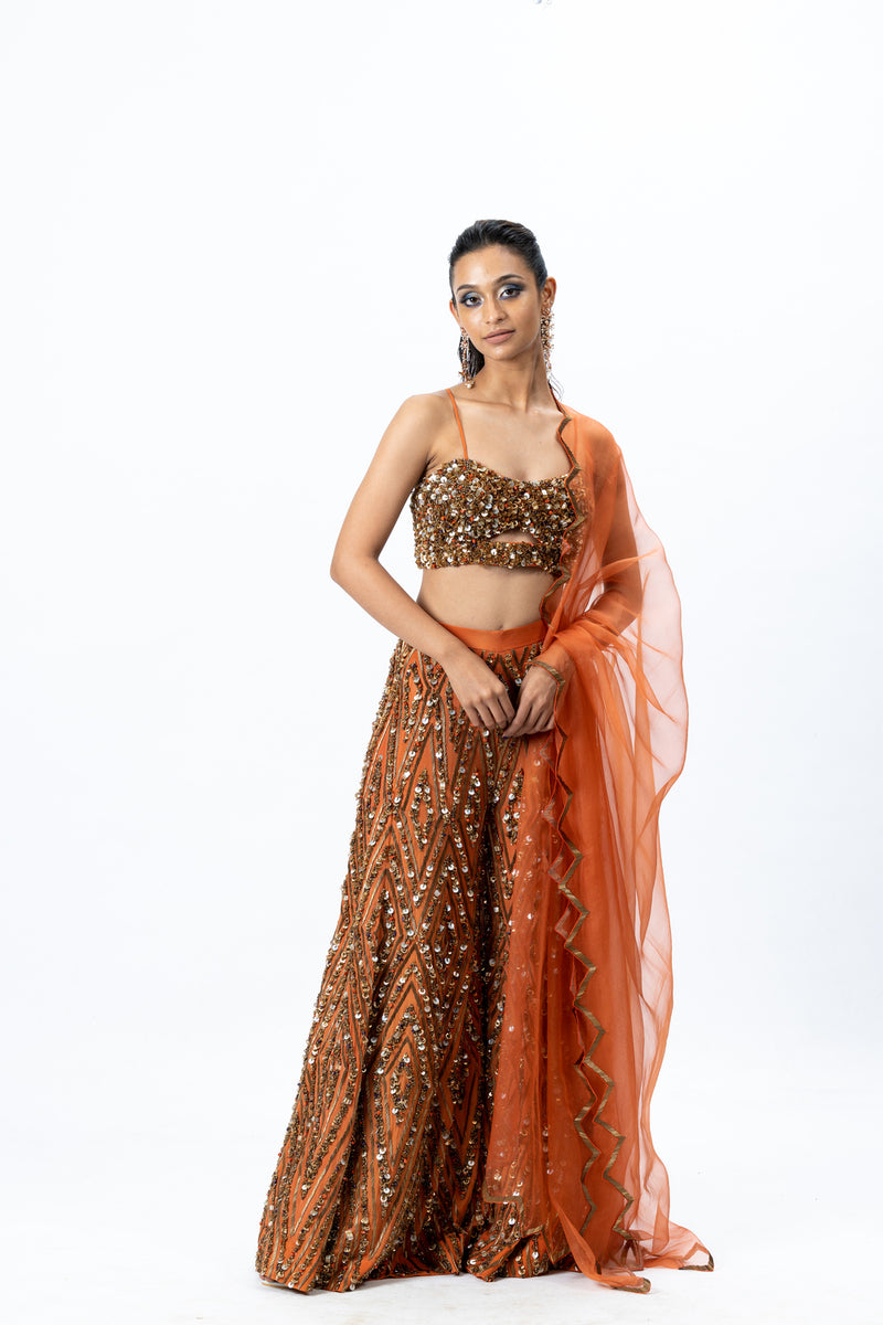 Burnt Orange Bustier and Sharara with Hand-Embroidery & Net Dupatta
