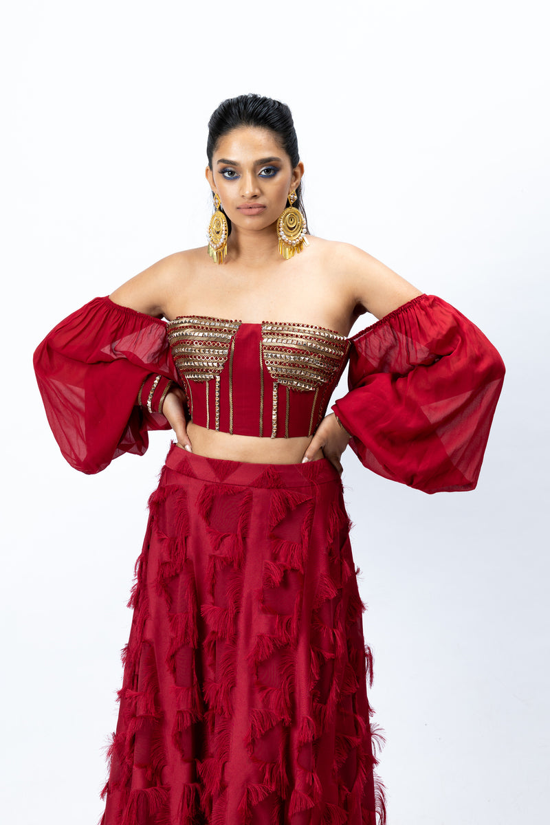 Red Bustier with Feather Skirt