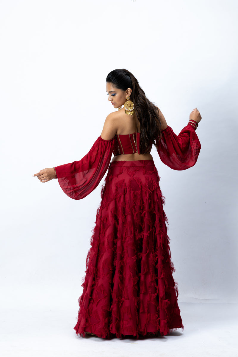 Red Bustier with Feather Skirt