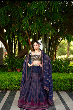 Dark Blue Jahaan Lehenga Set