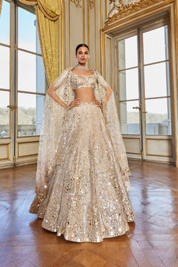 Rose Gold Mirror Work Lehenga Set