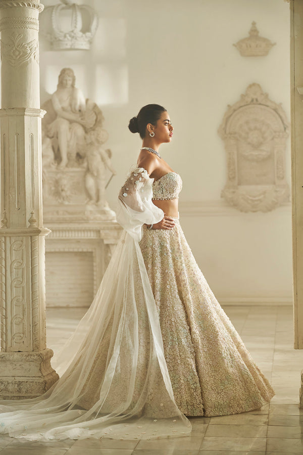 Multi-Coloured Three-Dimensional Lehenga Set