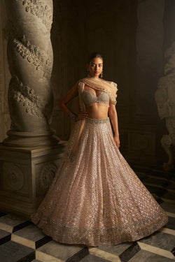 Powder Peach Sequin Lehenga Set