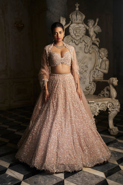 Champagne Sequin Lehenga Set