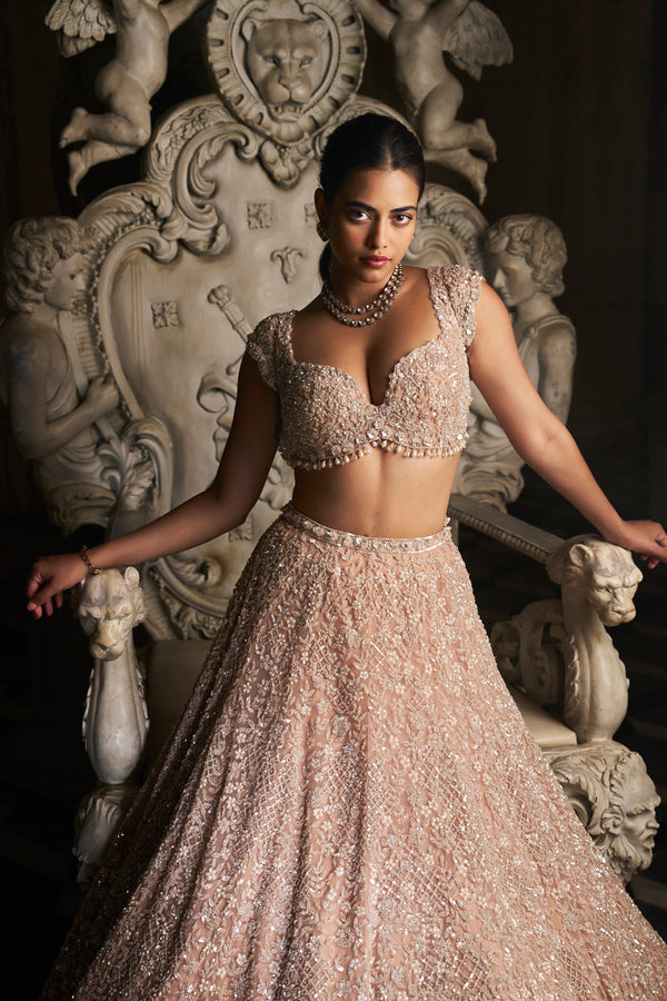 Champagne Sequin Lehenga Set